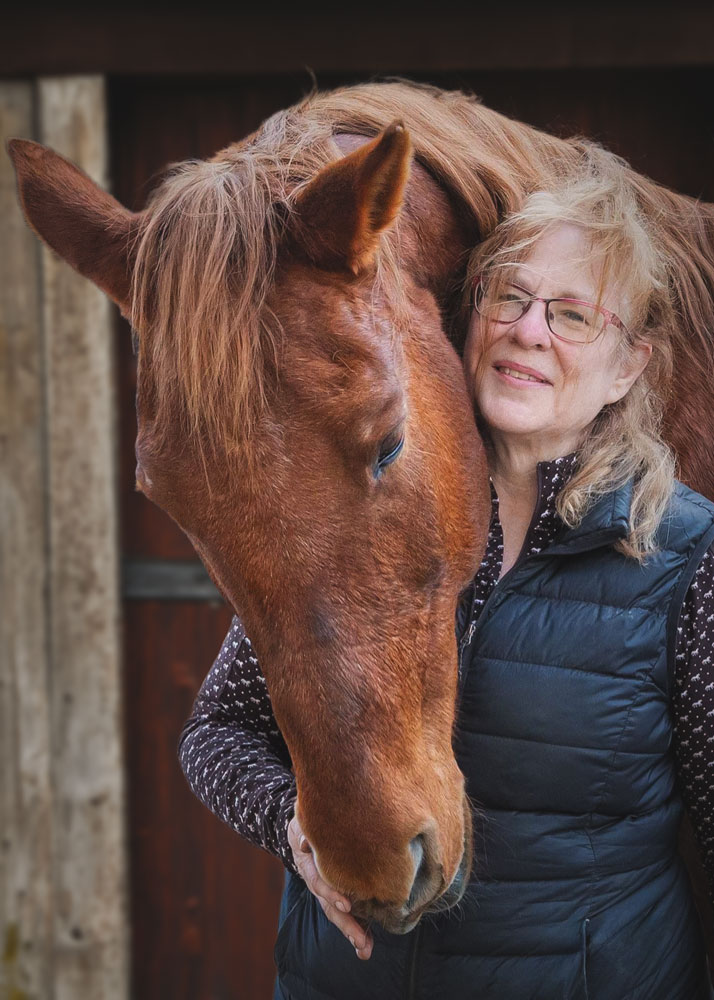 Red horse standing behind a woman with its head curved around towards the front.